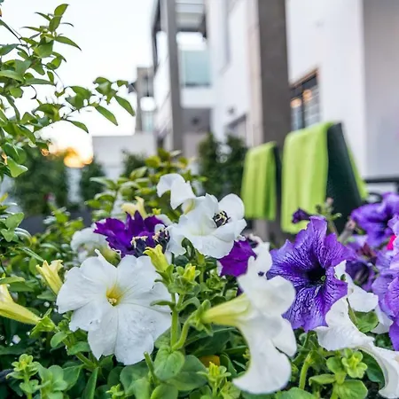 Eluxuria Sunny Daire *