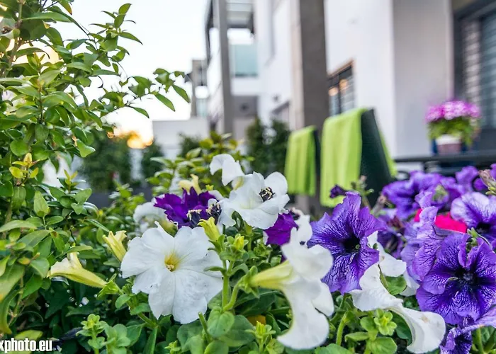 Eluxuria Sunny Апартаменты *